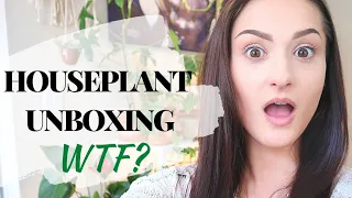 HOUSEPLANT UNBOXING | 3 NEW HOUSEPLANTS | Houseplant Mail | New Plants | Houseplant Haul | 2020