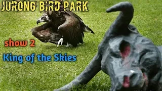 King of the Skies show - Jurong Bird Park (Singapore)