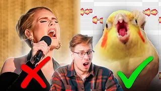 Эти попугаи поют лучше людей... И я наложил их вокал на музыку