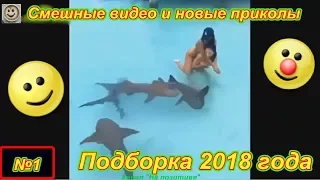 Смешные видео и новые приколы №1 ( Подборка 2018 года)