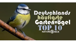 Deutschlands häufigste Gartenvögel - Top 10 aus dem Jahr 2015