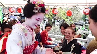 At Takase River in Kyoto | Geisha Tea Ceremony is The BEST Thing to Do | 京都高瀬川での外国人観光客と舞妓さん、海外の反応