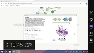 String: Protein Protein Interaction