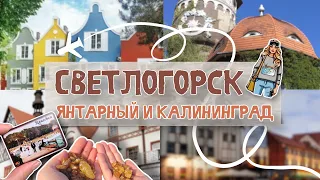 СВЕТЛОГОРСК|ЗНАКОМСТВО С ГОРОДОМ |ЯНТАРНЫЙ|КАЛИНИНГРАД |ОТДЫХ НА БАЛТИКЕ 2022| #светлогорск #балтика