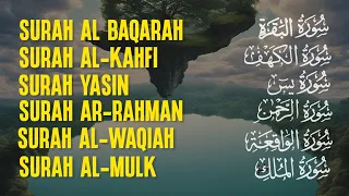 Murottal Quran Merdu - Surah Al Baqarah, Al Kahf, Yasin, Ar Rahman, Al Waqiah, Al Mulk