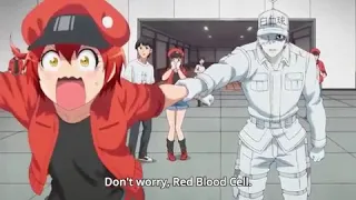 cells at work AMV redXwhite blood cell ship