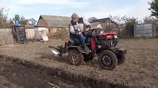 Козак Полтавський оранка в кума