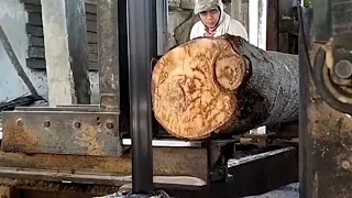 strange wood is very crunchy when sawed
