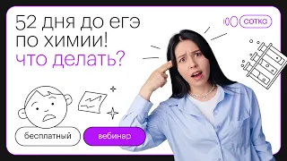 52 дня до ЕГЭ по химии! Что делать? | ЕГЭ ХИМИЯ 2022 | СОТКА