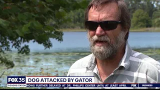 VIEWER DISCRETION: Video shows pet dog attacked by alligator