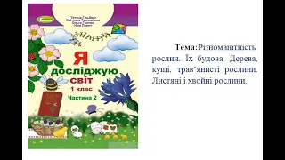 Будова рослин  Дерева, кущі, трав'янисті рослини. Хвойні та листяні рослини. ЯДС 1 клас.