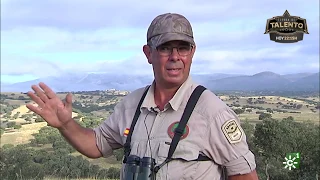 Tierra y Mar | La berrea del ciervo anuncia la llegada del otoño,