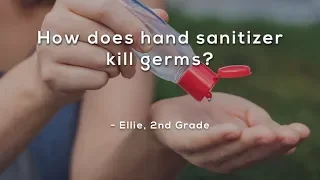 How does hand sanitizer kill germs?