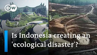 Critics warn Indonesia's new capital Nusantara could become an ecological disaster | DW News