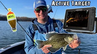 Forward Facing Crappie