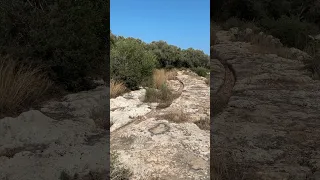 EXPLORING the Ta' Blankas ‘CART RUTS’ on Gozo