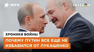 Лукашенко — придворный пес Путина: Гудков о том, как РФ УЖЕ АННЕКСИРОВАЛА Беларусь