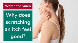 Why does scratching an itch feel good?