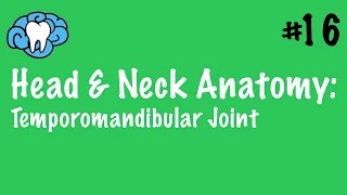 Head & Neck Anatomy | TMJ Anatomy | INBDE