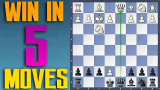 BEST trap against 1.d4 (Chess Traps)