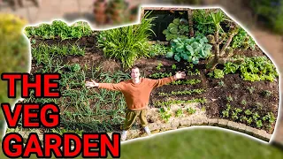 Growing a Vegetable Garden - Day 1 to Day 150