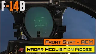 DCS World - F-14 Tomcat - Front Seat - ACM - Radar Acquisition Modes