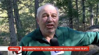 Την καθημερινότητα των υλοτόμων στην Κοζάνη καταγράφει ο φακός της ΕΡΤ3 | 24/10/2019 | ΕΡΤ