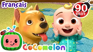 BINGO | Chansons pour Bébés | CoComelon Le coin des Animaux de JJ - Comptines