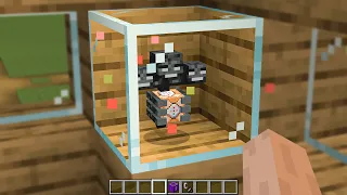 wither storm inside the glass block. I collect wither storm mobs in minecraft