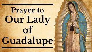 Prayer to Our Lady of Guadalupe | For a Special Request