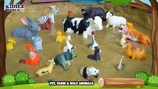Learn Wild Animals, Pet Animals & Farm Animals for Kids Fun Learning through Play!