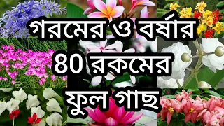 গরমের ও বর্ষার 80 রকমের ফুল গাছ||(নামসহ)||গরমের ও বর্ষার এই গাছ থেকে প্রচুর ফুল পাওয়া যায়