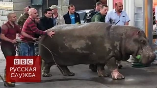 Последствия потопа в Тбилиси  - BBC Russian