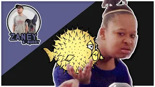 First TRUE OpenBSD Stream! | Streaming To YouTube Using FFMPEG On OpenBSD