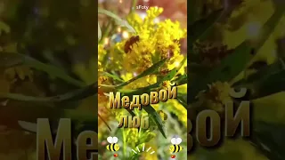 с Медовым Спасом!