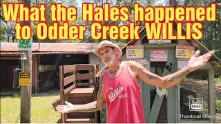 What the Hales happened to ODDER Creek WILLIS