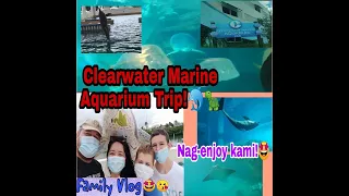 Clearwater Marine Aquarium!| Quick Family Trip