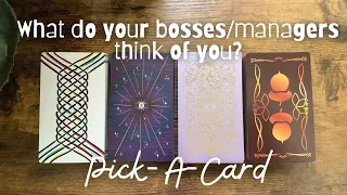 📈What do your managers/bosses think of you?📉☕️Pick-A-Card☕️Collab with @capricornvenustarot
