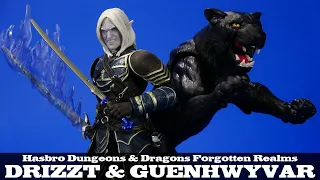 Dungeons & Dragons Drizzt and Guenhwyvar Hasbro Forgotten Realms Action Figure Review