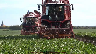 Grimme - Vredo - Fendt - Class / Rübenernte - Harvesting Beets  TB