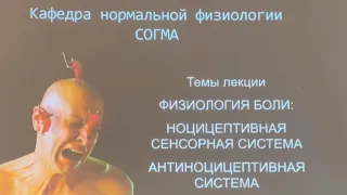 Часть 2 . •ФИЗИОЛОГИЯ БОЛИ •НОЦИЦЕПТИВНАЯ СЕНСОРНАЯ СИСТЕМА •АНТИНОЦИЦЕПТИВНАЯ СИСТЕМА