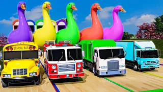 Old MacDonald + More Baby songs | Vehicles & Animals | 5 Giant Duck | Kids Songs & Nursery Rhymes