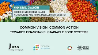 High-Level Dialogue - Common vision, common action: Towards financing sustainable food systems