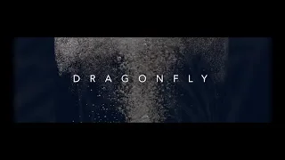 DRAGONFLY (Short Film)