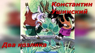 Два козлика. К. Ушинский.