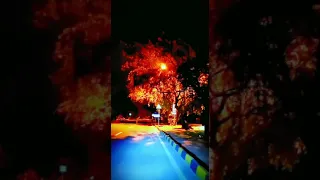 Islamabad Night| Trending Video| Beautiful View|