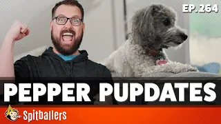 Pepper Pupdates & The Best Flavors - Episode 264 - Spitballers Comedy Show