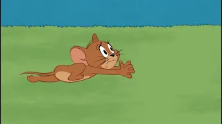 5 minutes of Tom & Jerry chasing each other 😝 | Chase compilation - Boomerang (ch. 302) | DStv