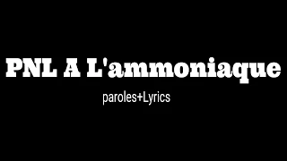 PNL A L'ammoniaque paroles (lyrics)