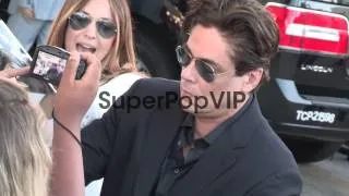 Benicio Del Toro greets fans at the Savages Premiere in W...